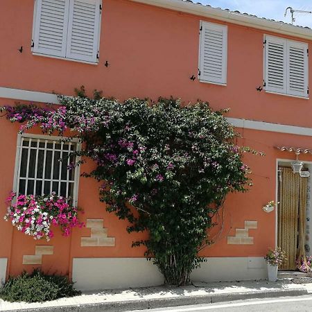 Da Mamma E Papa Sirolo Apartment Bagian luar foto